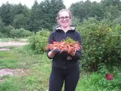 Коттедж Семейный отдых на оз.Ельно - 4