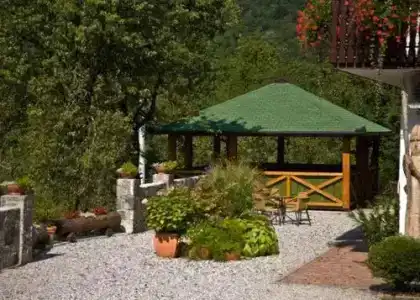 Tourist Farm Kranjc - 11