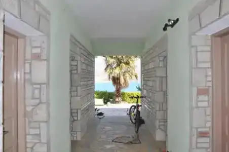 Suga 1 - 0