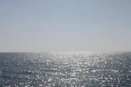 Poti - 4