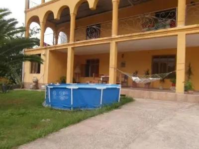 Alex Guest House - 1