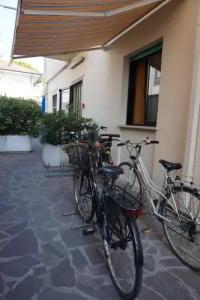 Borghesi - 19