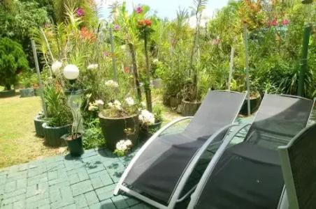 Orchid Sunset Guest House - 8