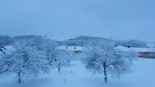 Силичи агро плюс - 9