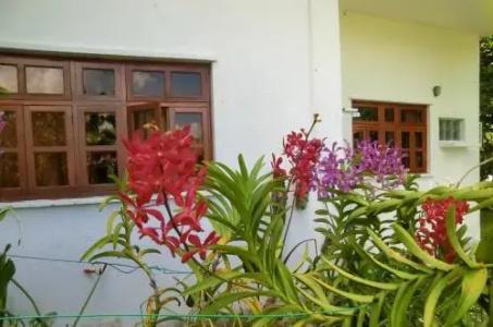 Orchid Sunset Guest House - 0
