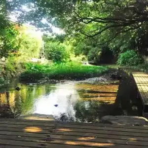Ryokan Sangetsu - 14