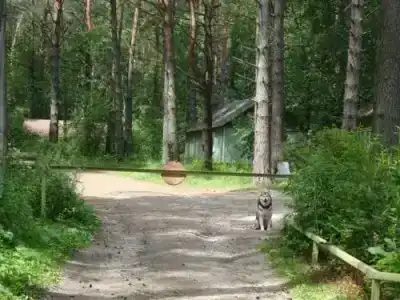 Рассвет на Оке - 11