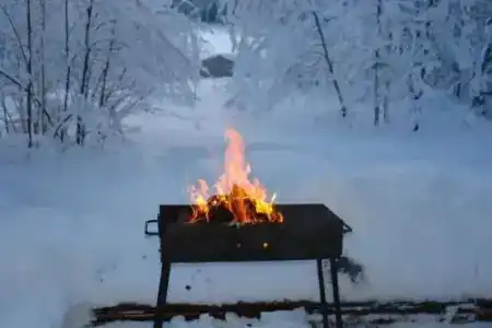 Травяная губа - 1