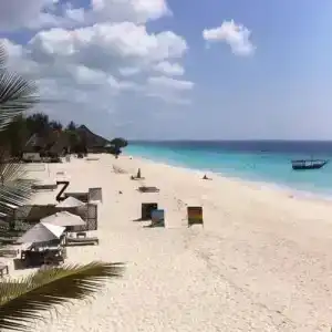 GOasis Zanzibar - 7