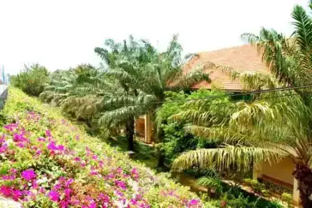 Hon Rom Sunlight Resort - 6