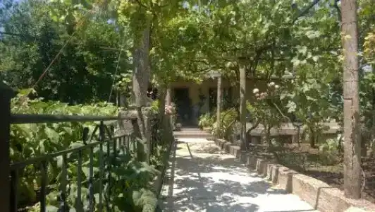 Erindi - 4