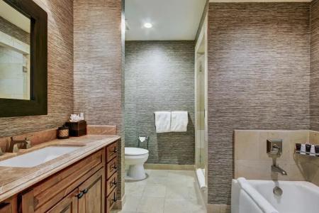 The Collection at the Ritz Carlton Residences - 7
