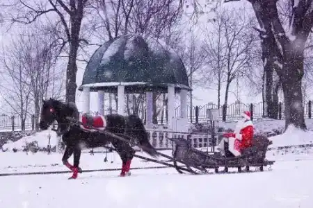 Каралинский Фальварок Тызенгауза - 4