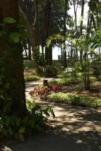 Sea Village Beach Front - 0