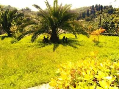 Alex Guest House - 3