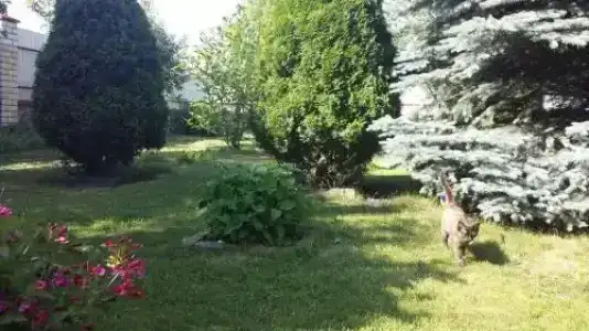 Империя - 2