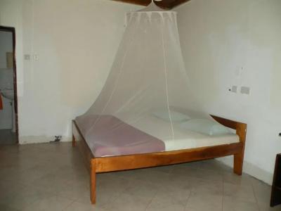 Fig Tree Camp - 1