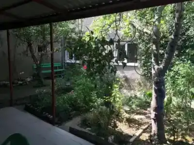 Грушевый дом - 7
