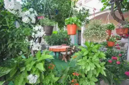 Guest House Andrea - 9