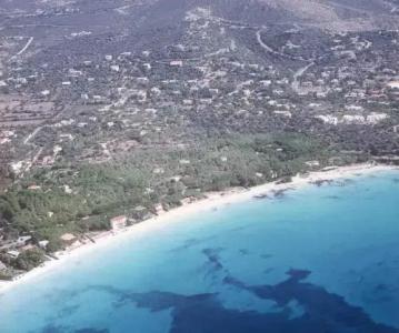 Pini e Mare - 7
