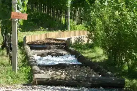 Gutshof Sinn - 11