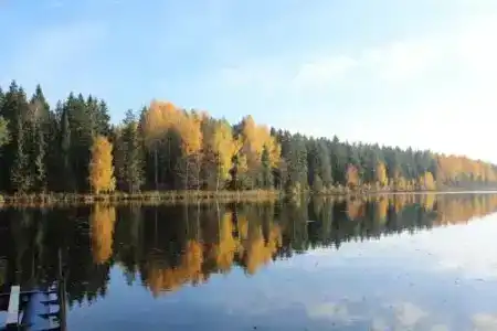 Пикник Парк - 3