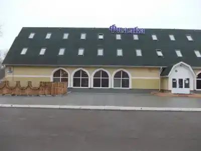 Фиалка - 1