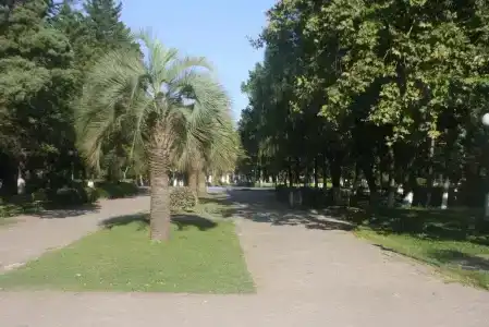 Poti - 6