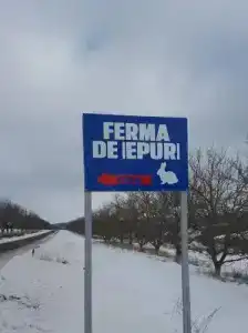 Krolichya ferma - 4
