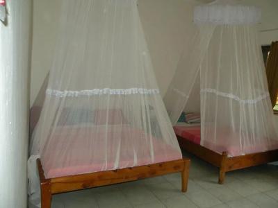 Fig Tree Camp - 2