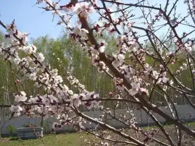 Homestay Polotskaya - 2