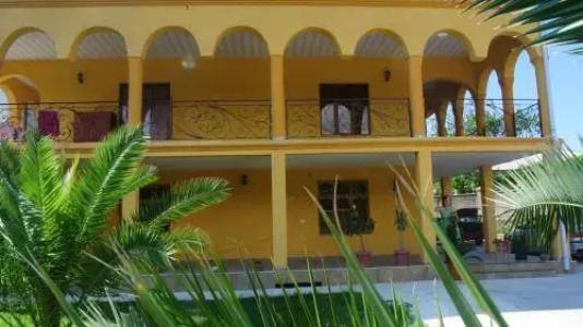 Alex Guest House - 7