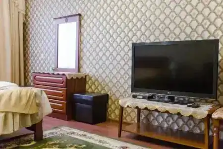 Силичи агро плюс - 3