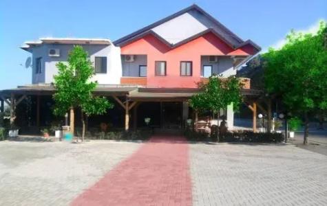 Aragosta Shengjin - 3