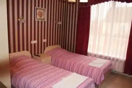 Ника - 9