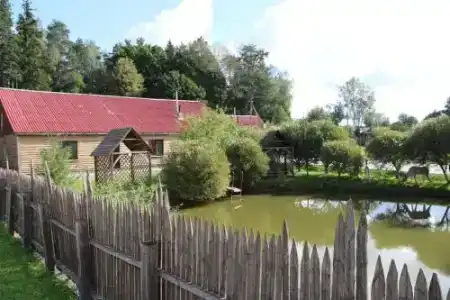 Белый аист - 0