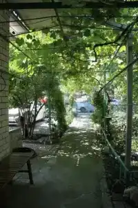 У Людмилы - 3