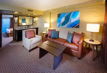 DoubleTree Suites by Hilton Tucson-Williams Center - 108