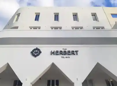 The Herbert - 8