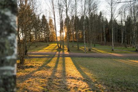 Olympiatoppen Sports- Scandic Partner - 19
