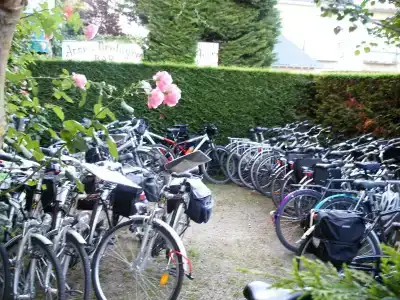 Anne De Bretagne Blois - 10