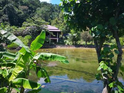 Yuyu Golden Beach - 28