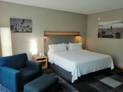 Holiday Inn Express Mexico Reforma - 47