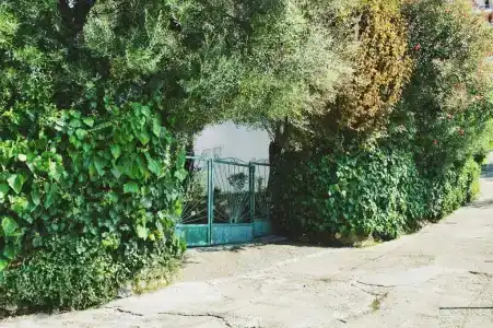 Nikčević - 22