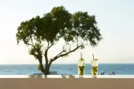 Electra Palace Rhodes - Premium All Inclusive - 27