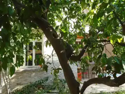 Lotus Garden Hostel Izmir - 20