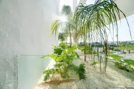 AT Herbal - 20