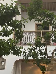Riad Les Orangers D'alilia - 61