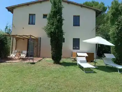 Gatto Bianco Tizzauli - 31