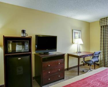 Comfort Inn & Suites - 5